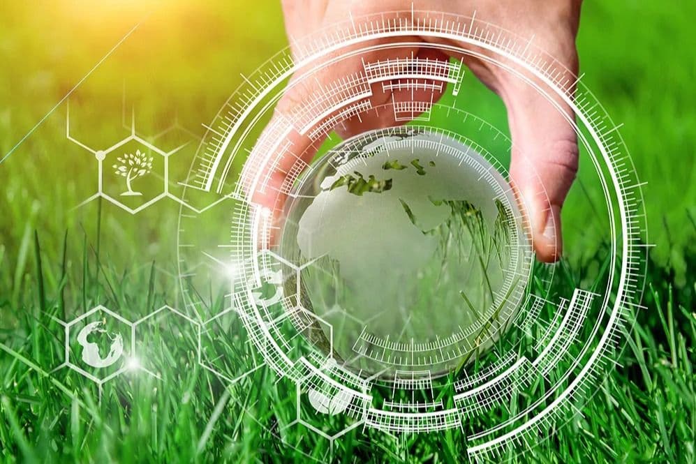 MicroMasters® Program in Economics and Policies for a Circular Bio-Economy