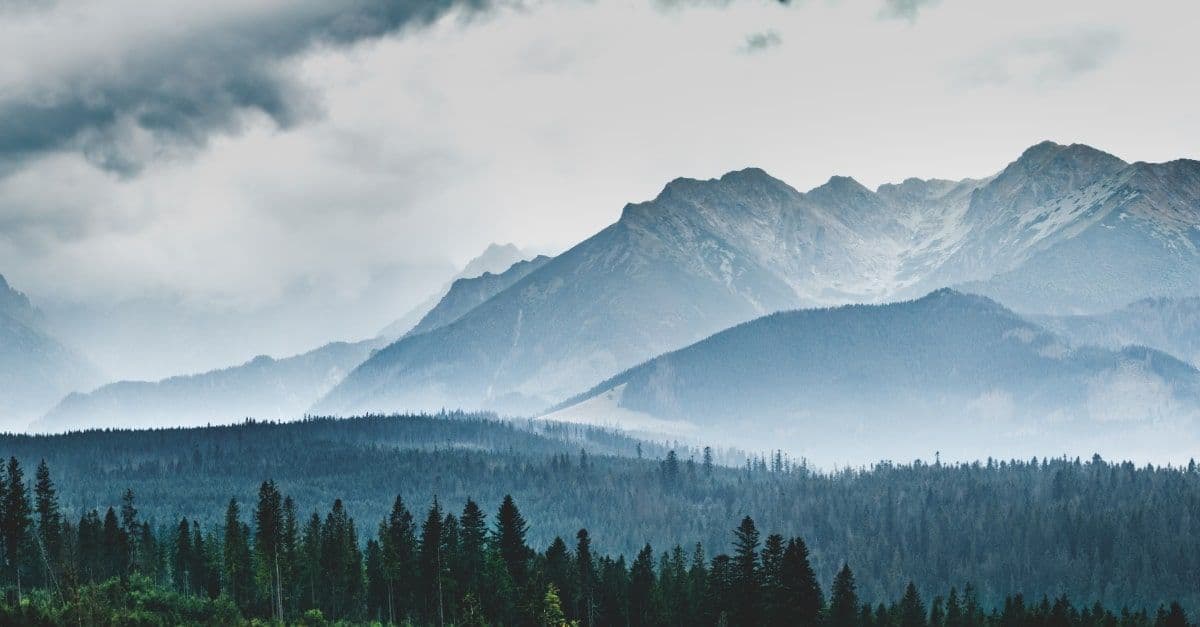 Cascale and ZDHC Unite for Sustainable Industry Practices