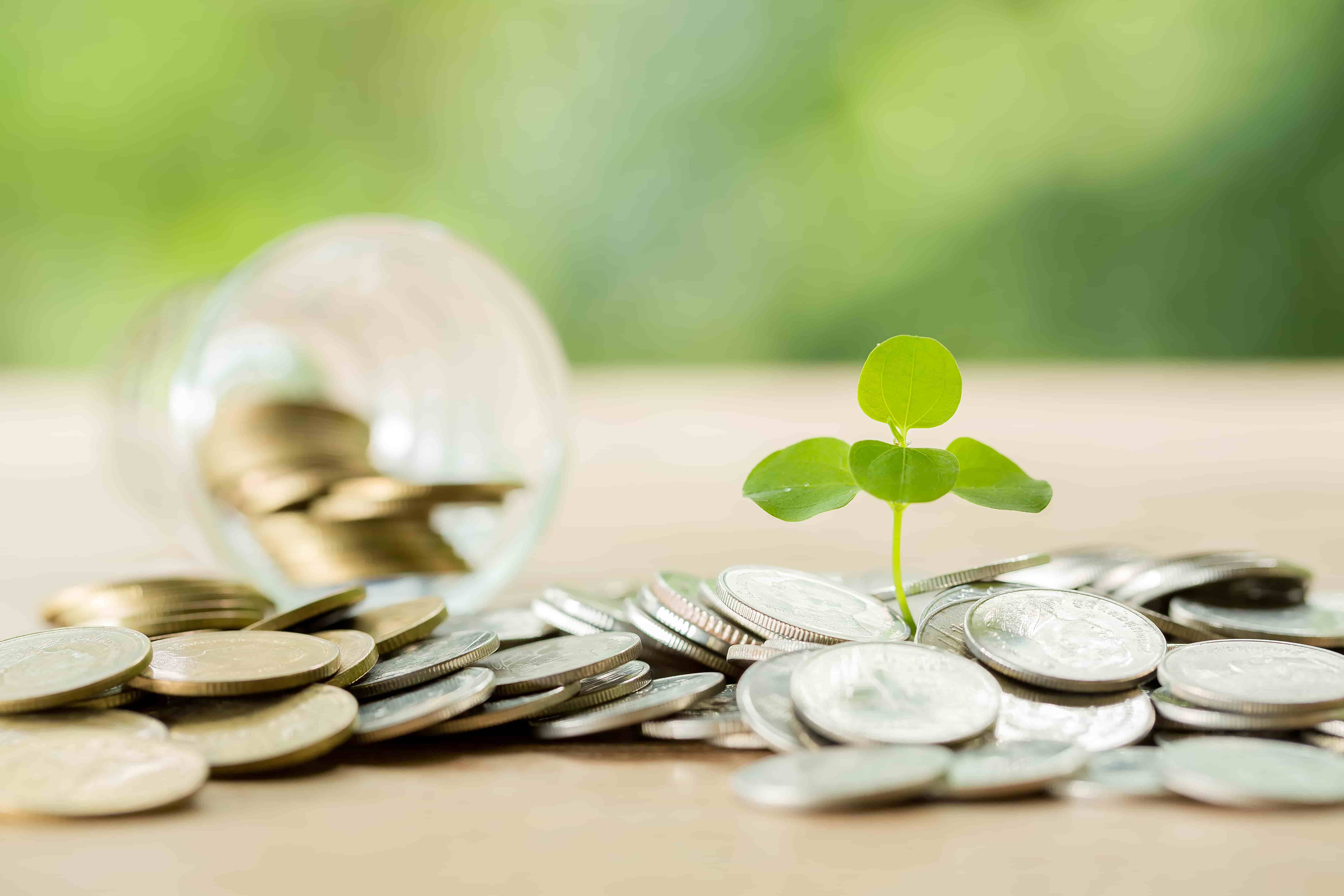Zelestra Lands $14 Million in Green Financing for Italian Solar Expansion