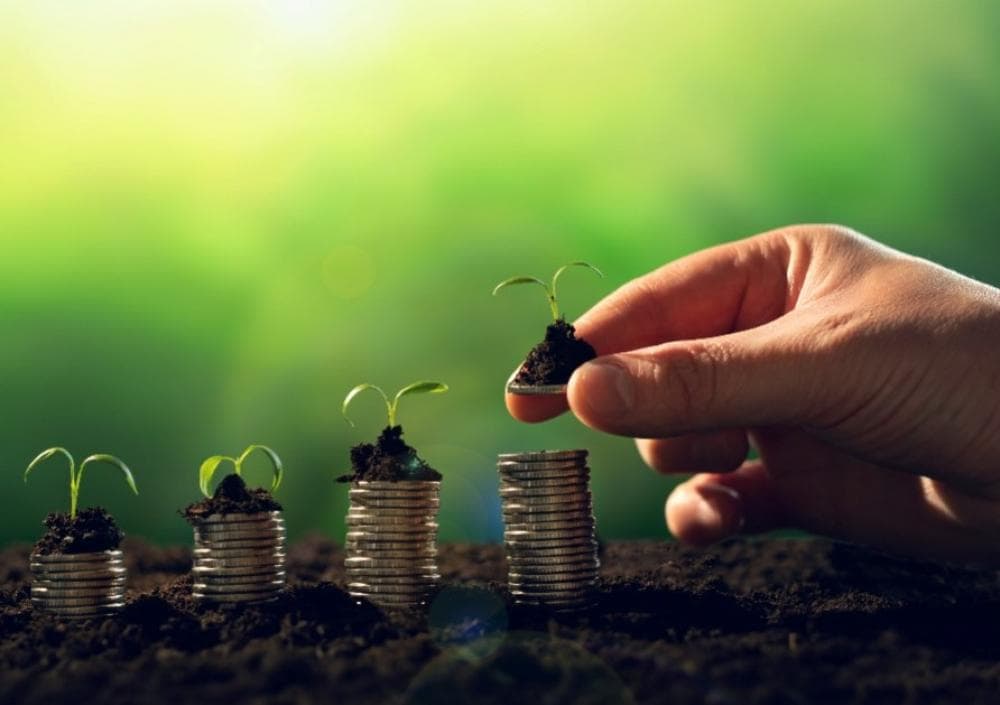 ESG Risks and Opportunities