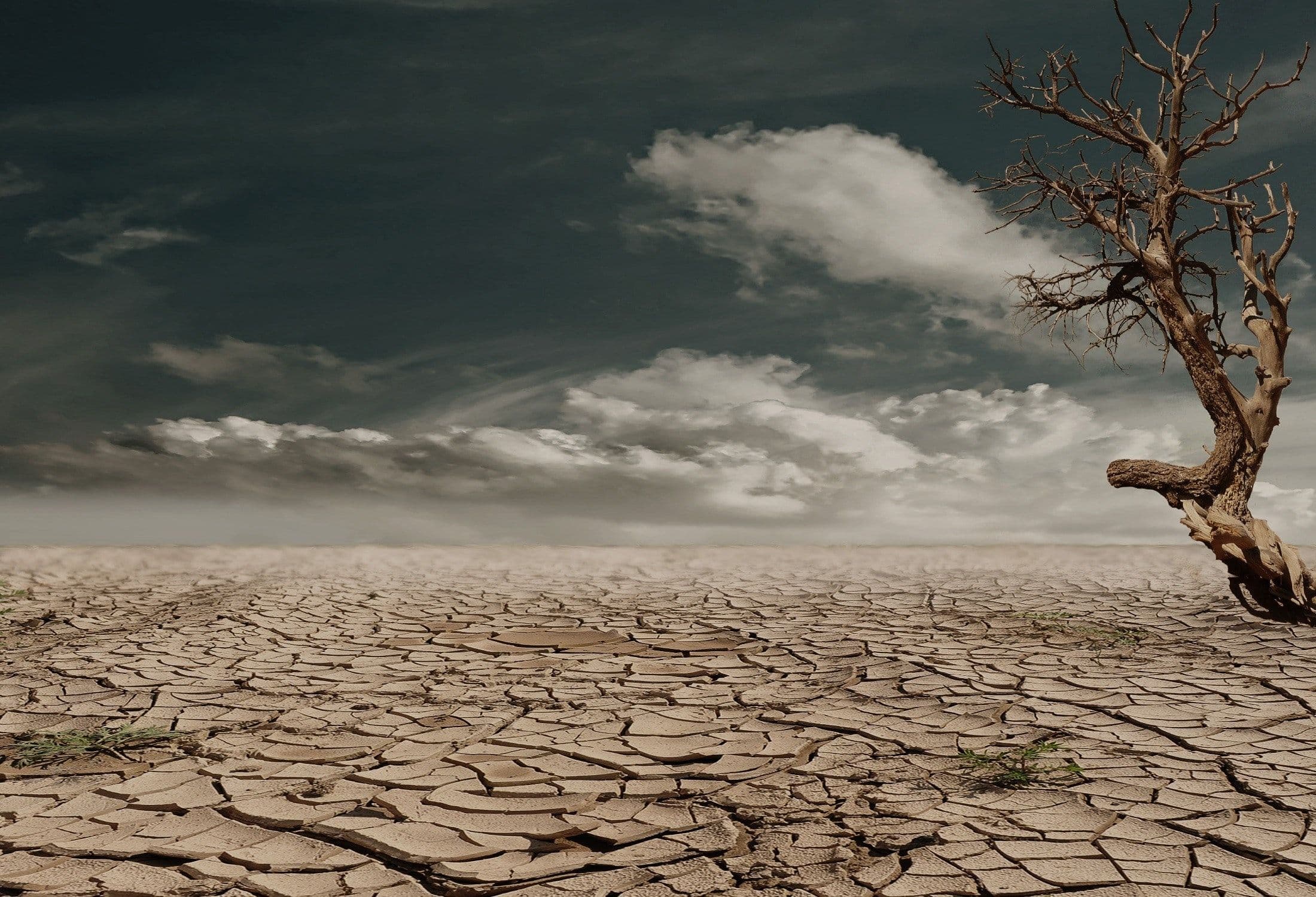 Youths in Honduras Contributing to Tackle Climate Change