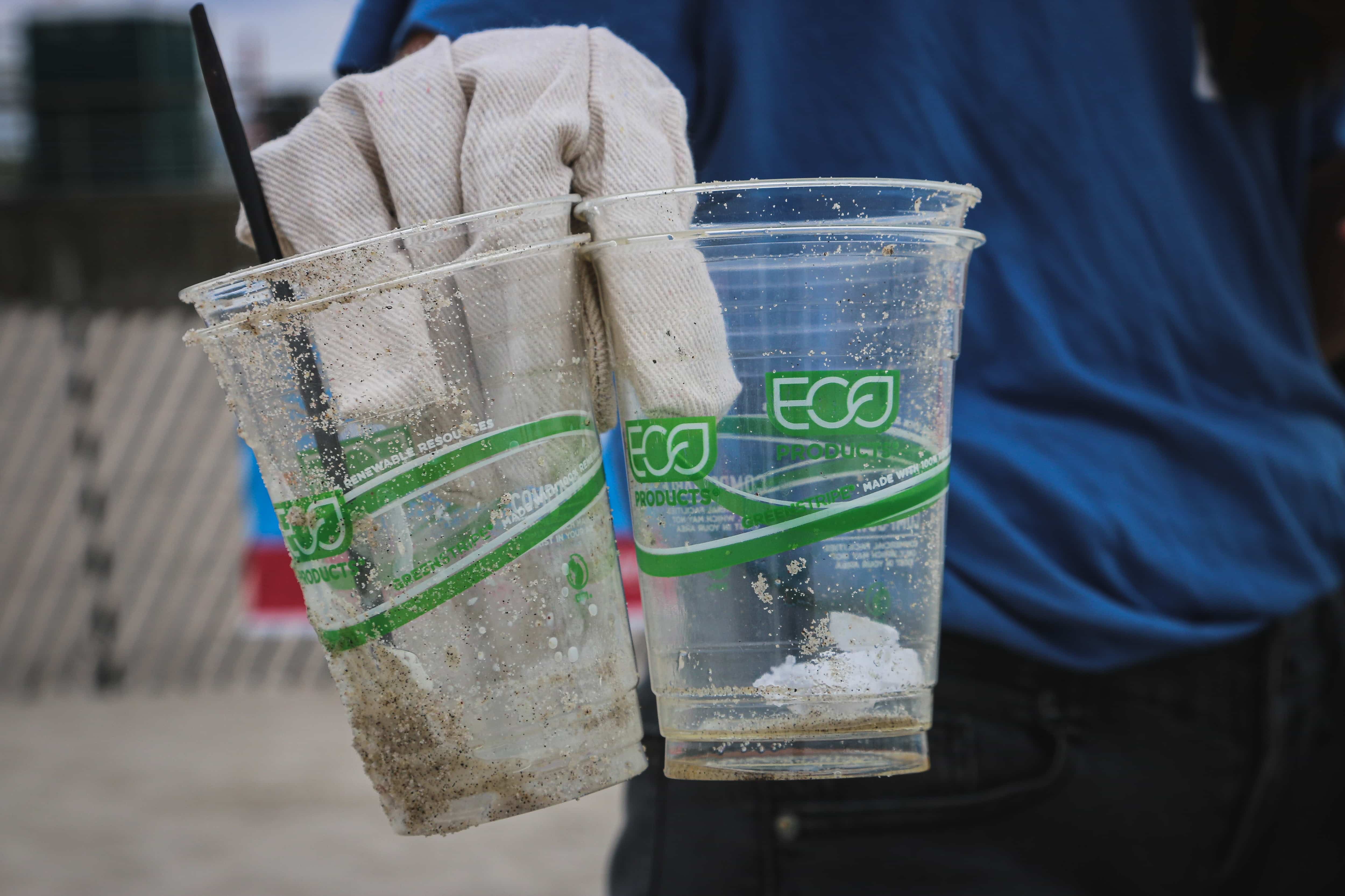 Tackling Corporate Greenwashing: New Global Regulation