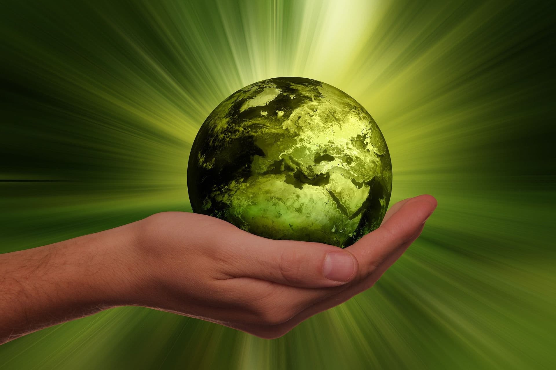 The Global Impact of ESG