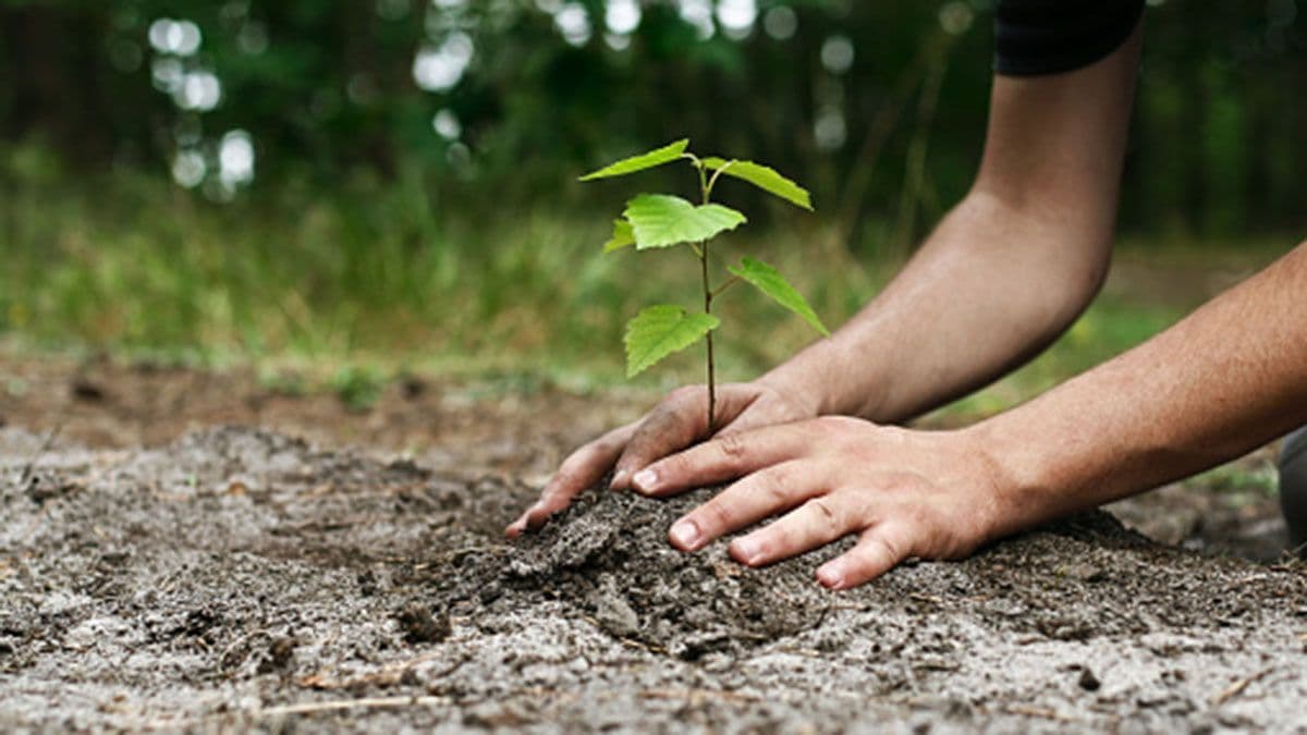Philips Says It is Carbon-Neutral Now