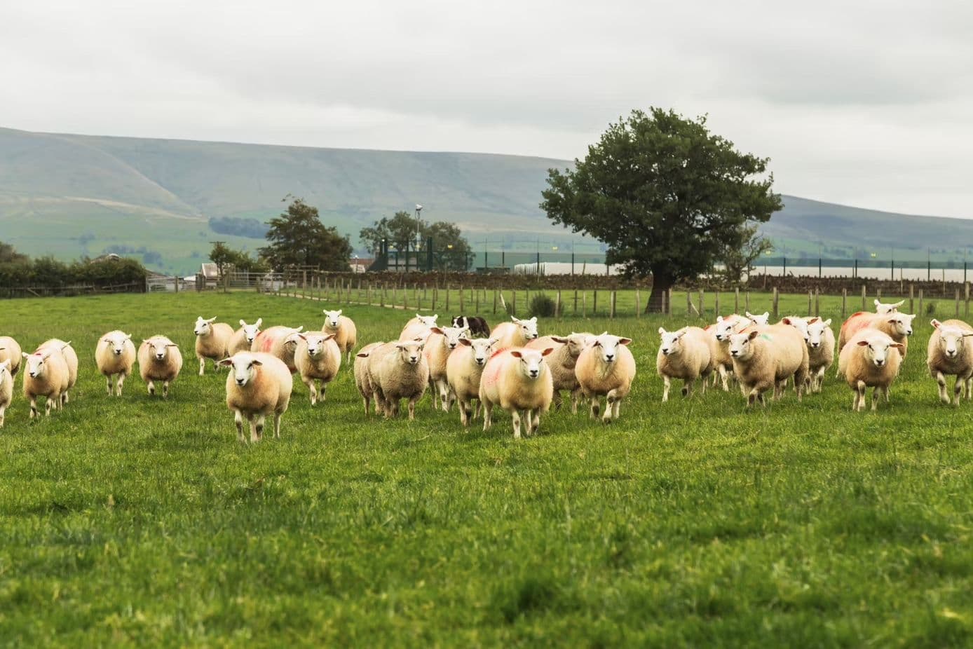 Barbour Targets Agri Pressures with Biodiversity