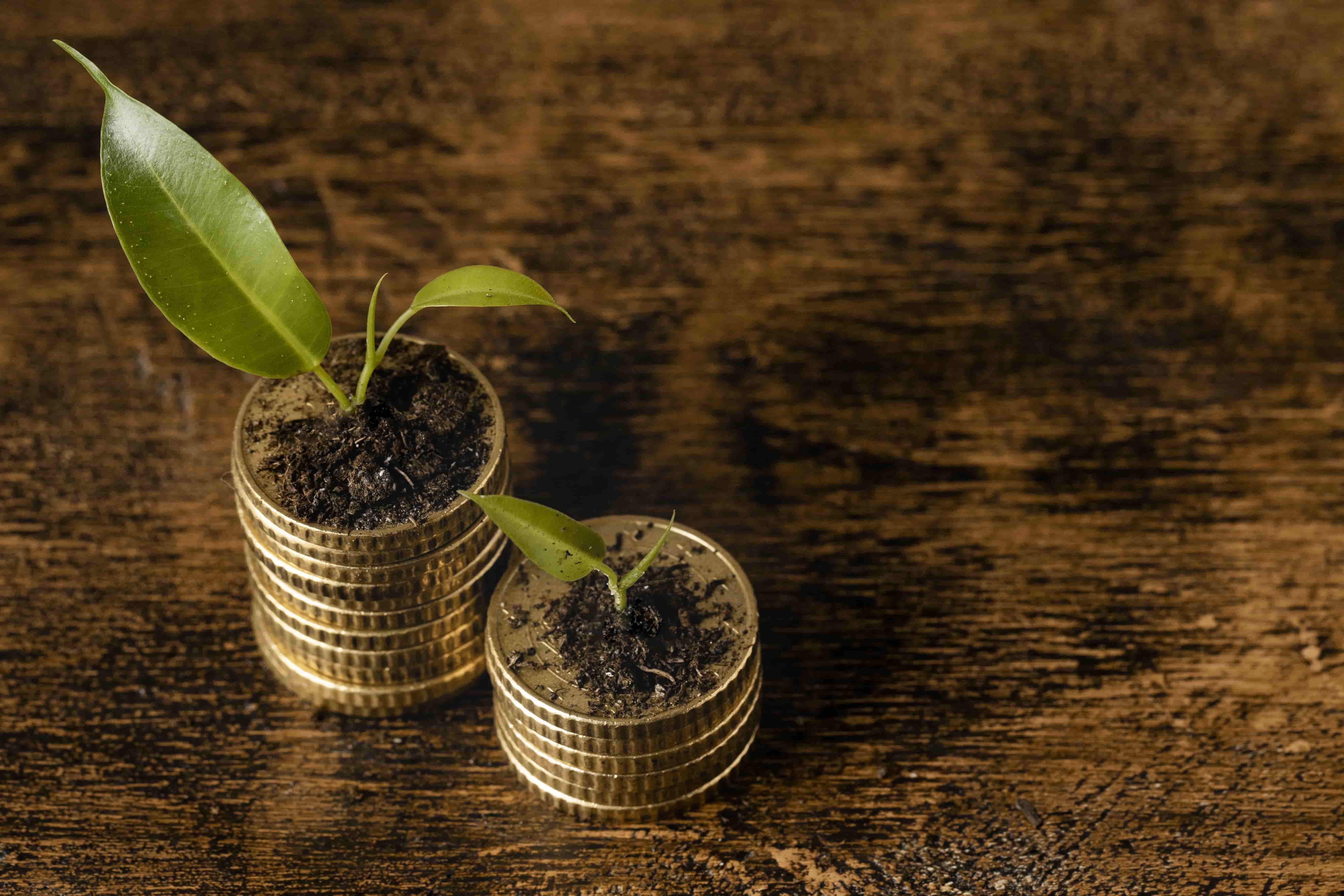 BC’s Carbon Tax Exit Sparks New Fiscal and Deficit Challenges