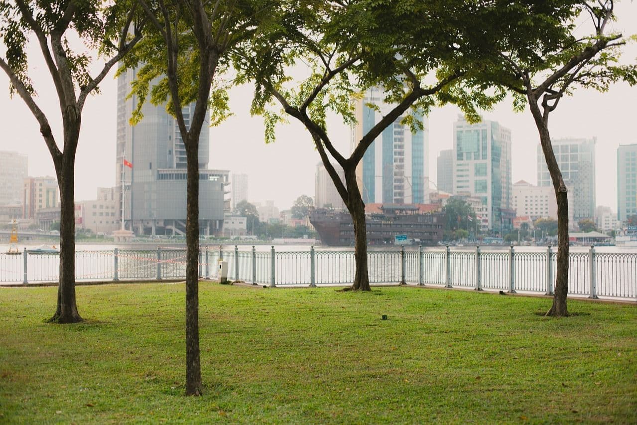 Urbanisation and Health - Promoting Sustainable Solutions