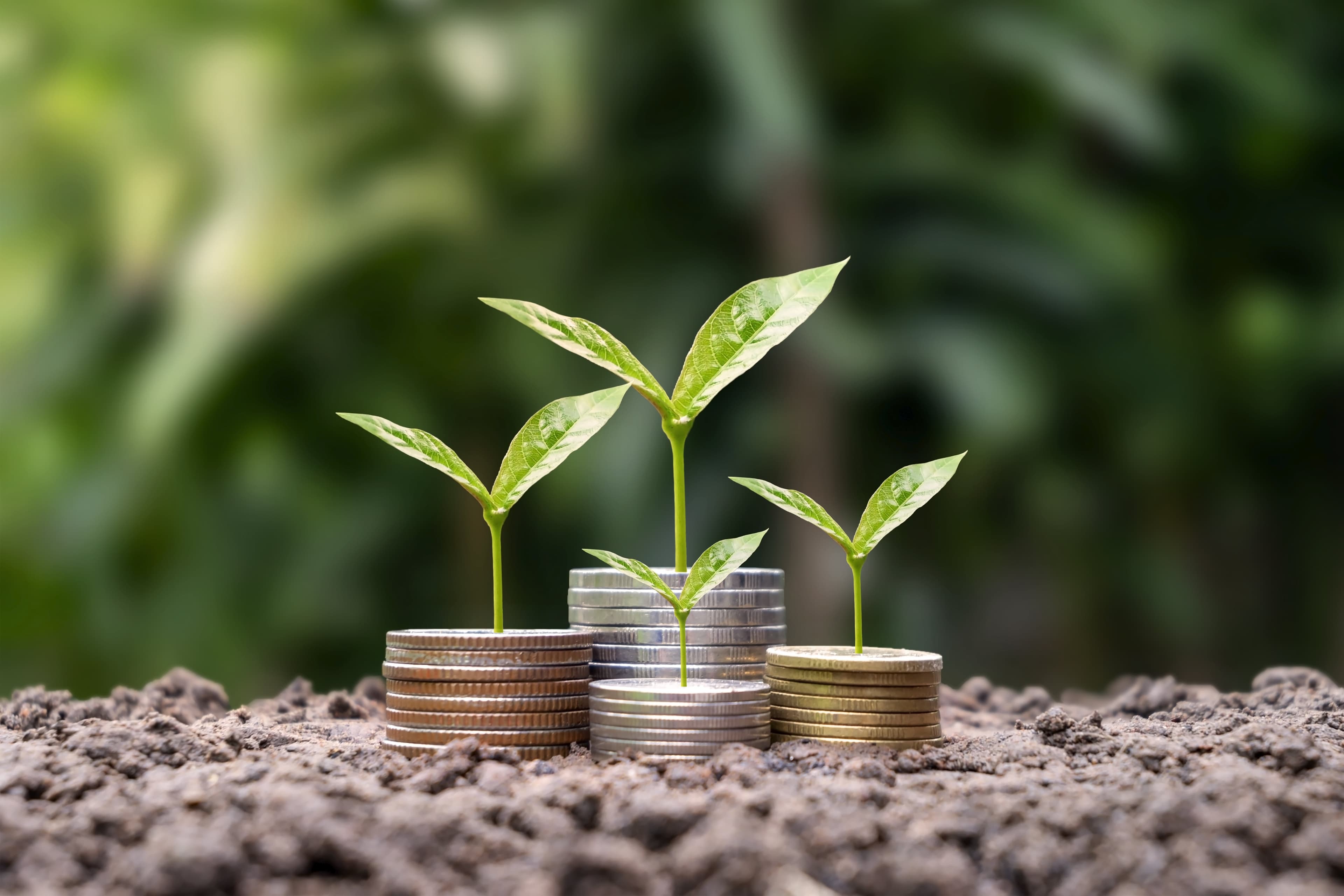 Saudi Arabia Unveils Green Finance Framework