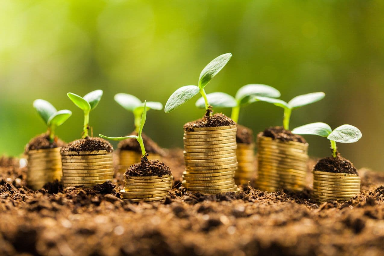 Australia Commits to Progressing Sustainable Finance Standards