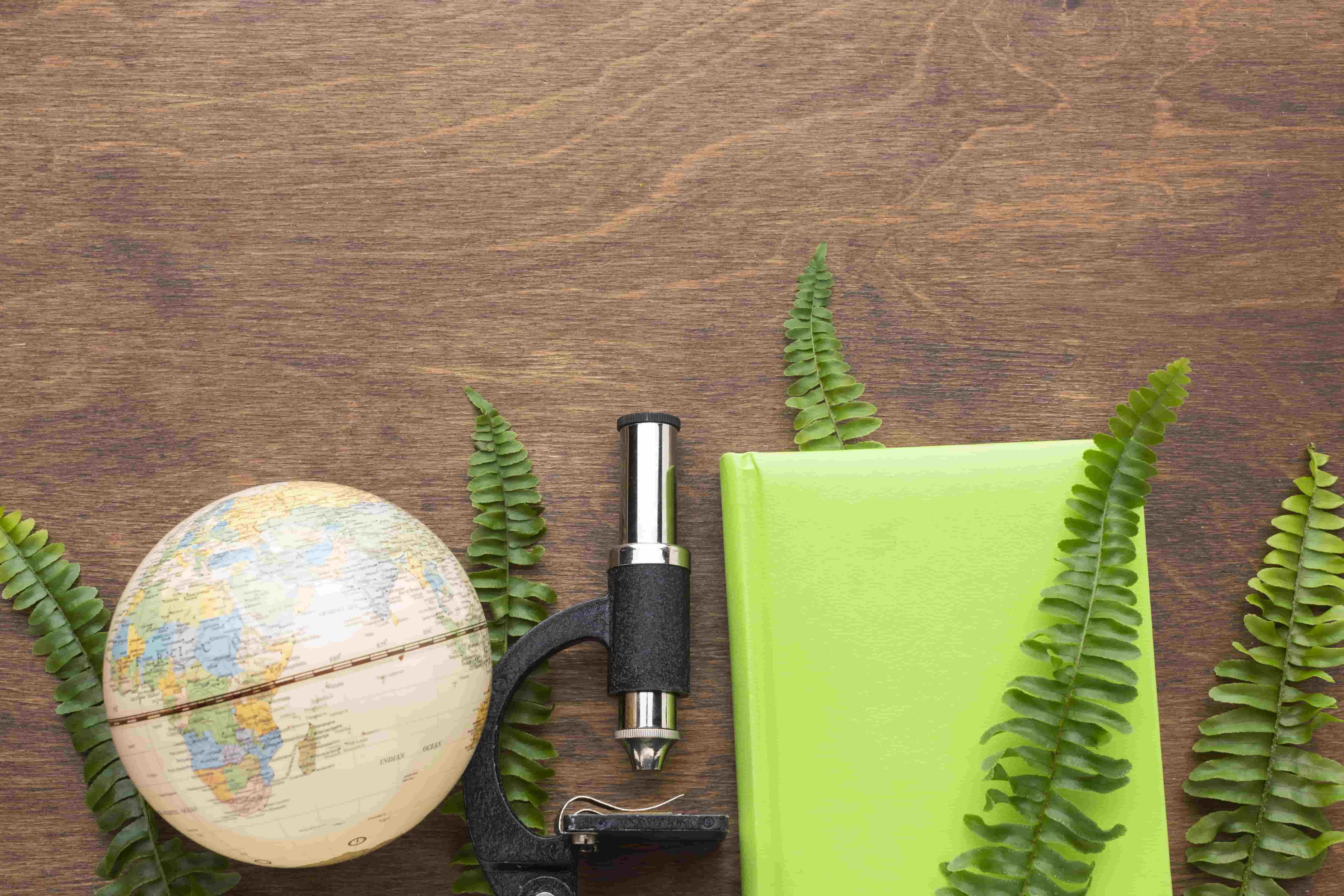 AI-Powered Sustainability: PwC’s New Tool Changes the Game for CSRD