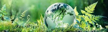 Environmental science course
