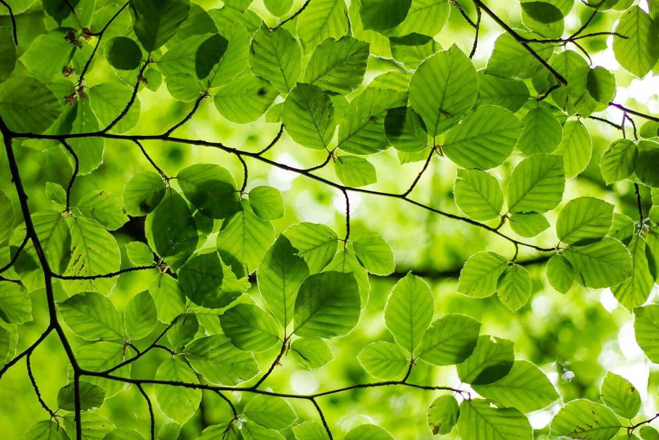 EGA Launches Green Finance Framework for ESG Projects