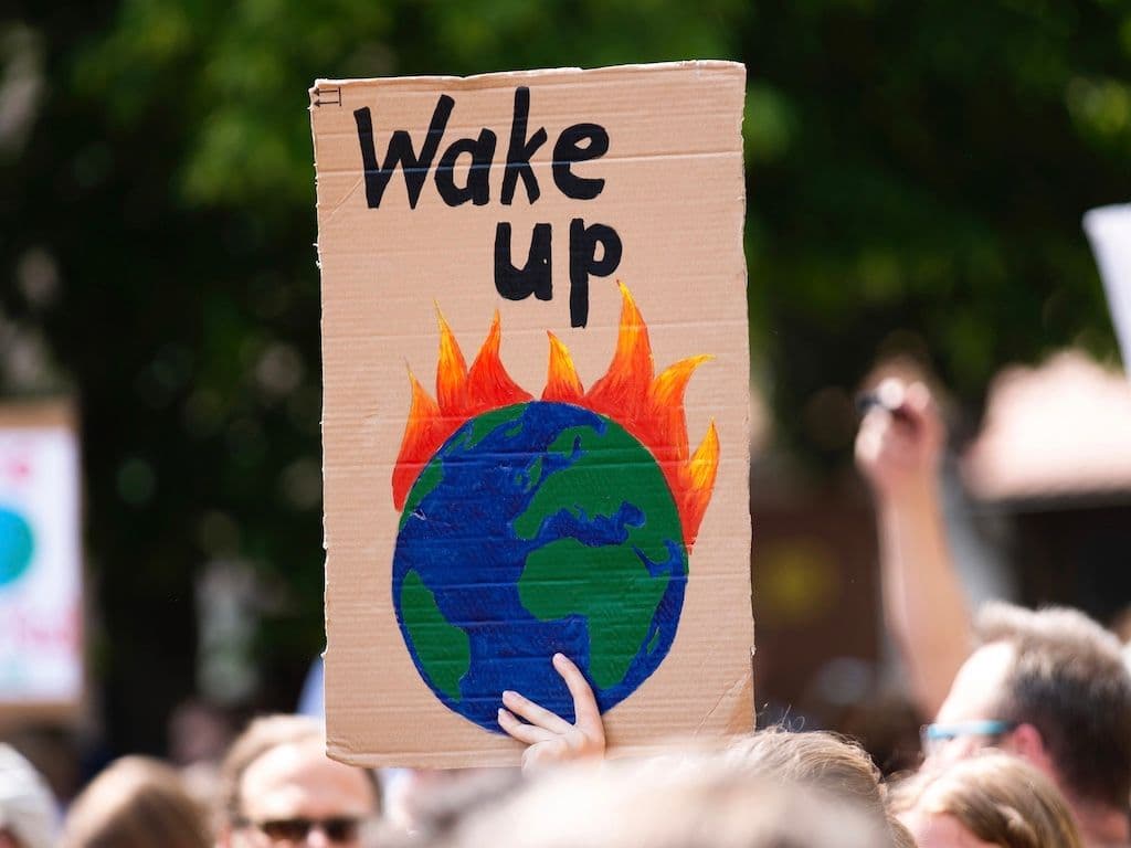 Exploring the Pros and Cons of Degrowth Theory
