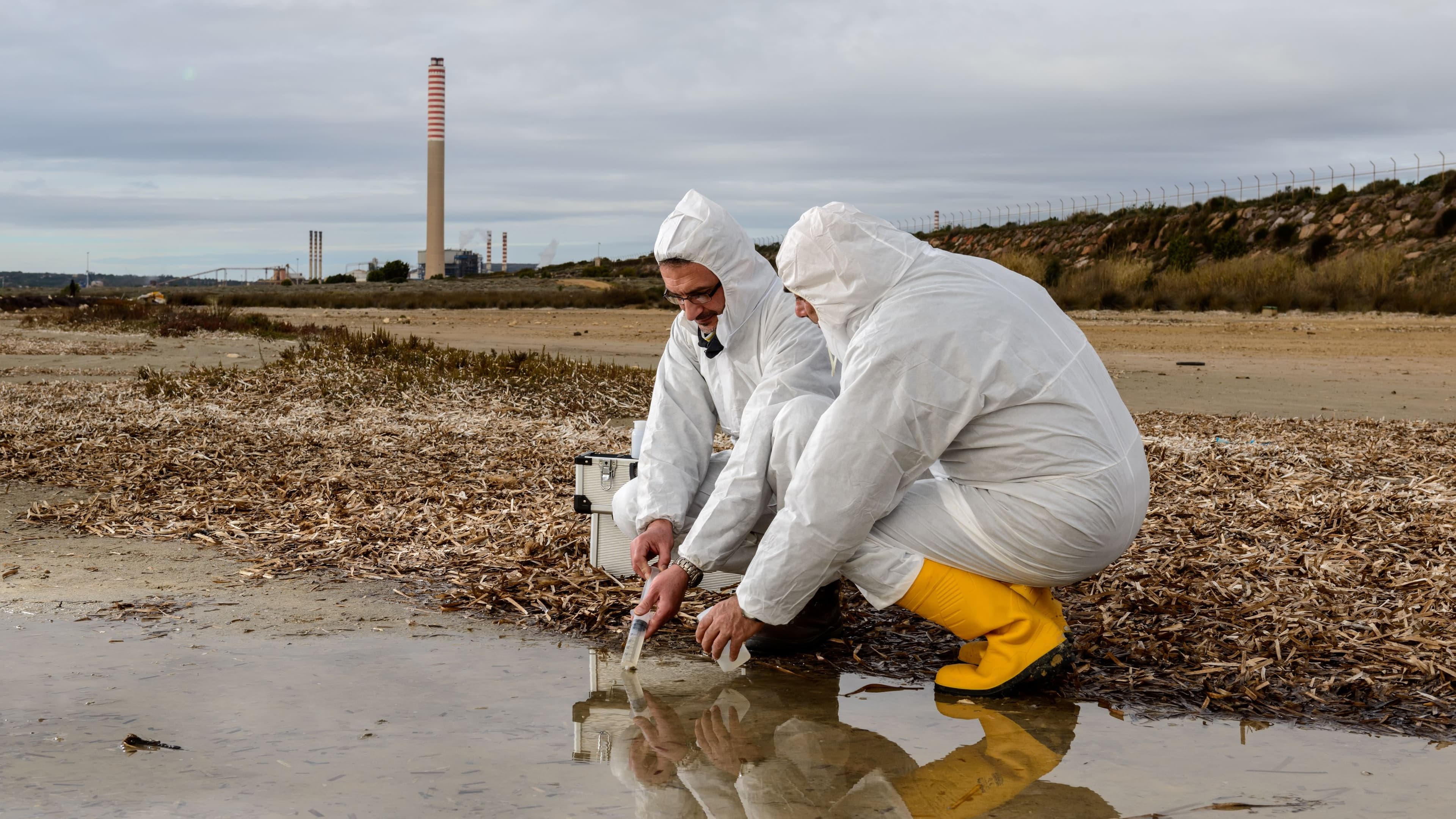 EU Nations Reject Strict Chemical Waste Regulations, Says Lead MEP