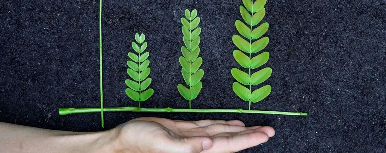 CBK Publishes Green Finance Rules to Curb Greenwashing