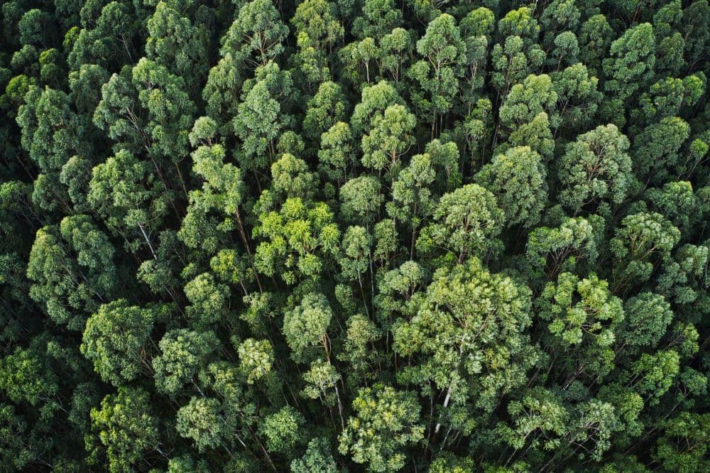 SpheraCloud: Financial Services' Decarbonisation Ally