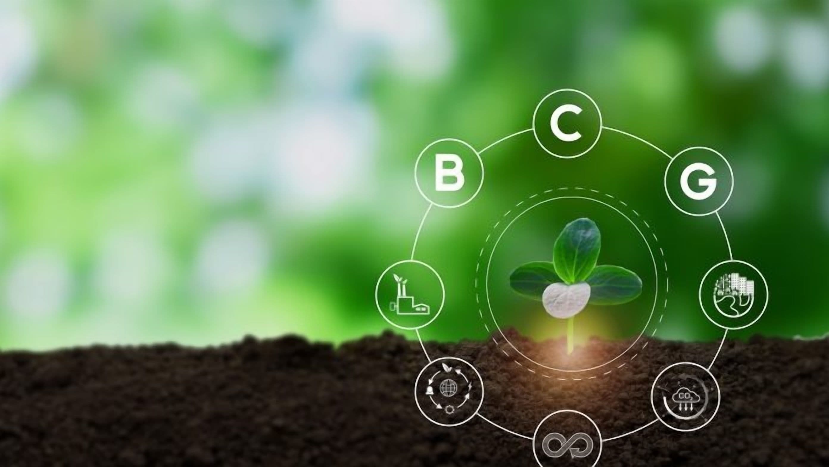 Bio-LUSH: Eco-Fibres for Circular Economy