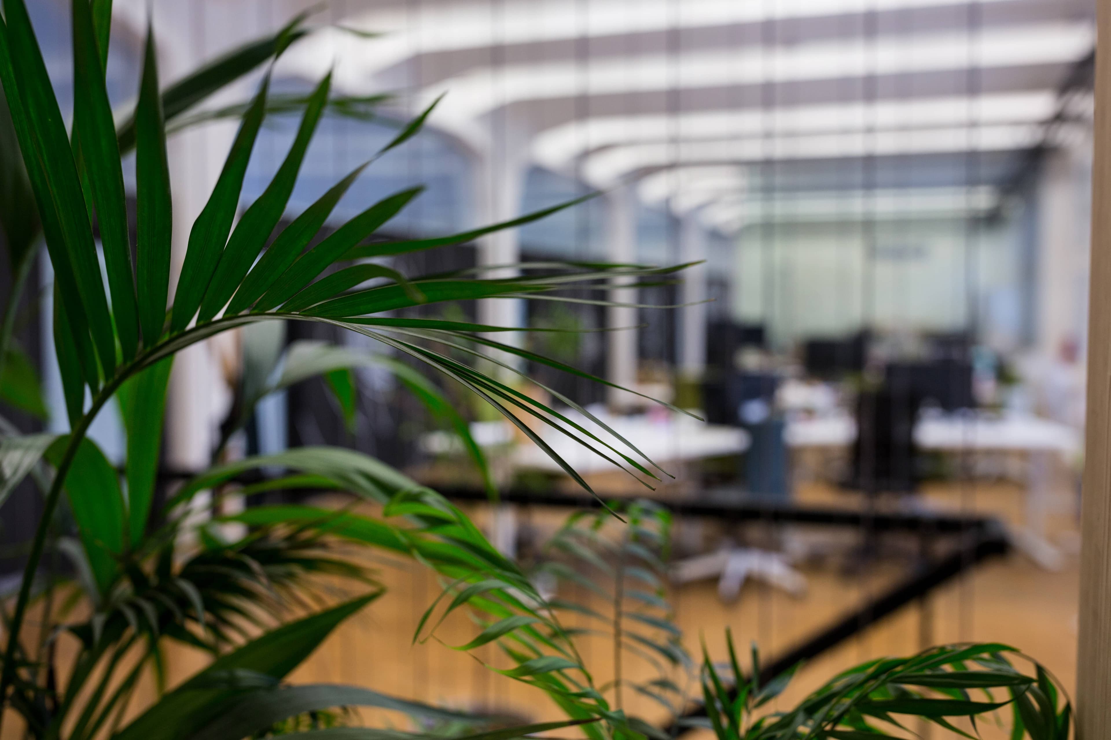 Green Offices' Rise Over Next Two Decades