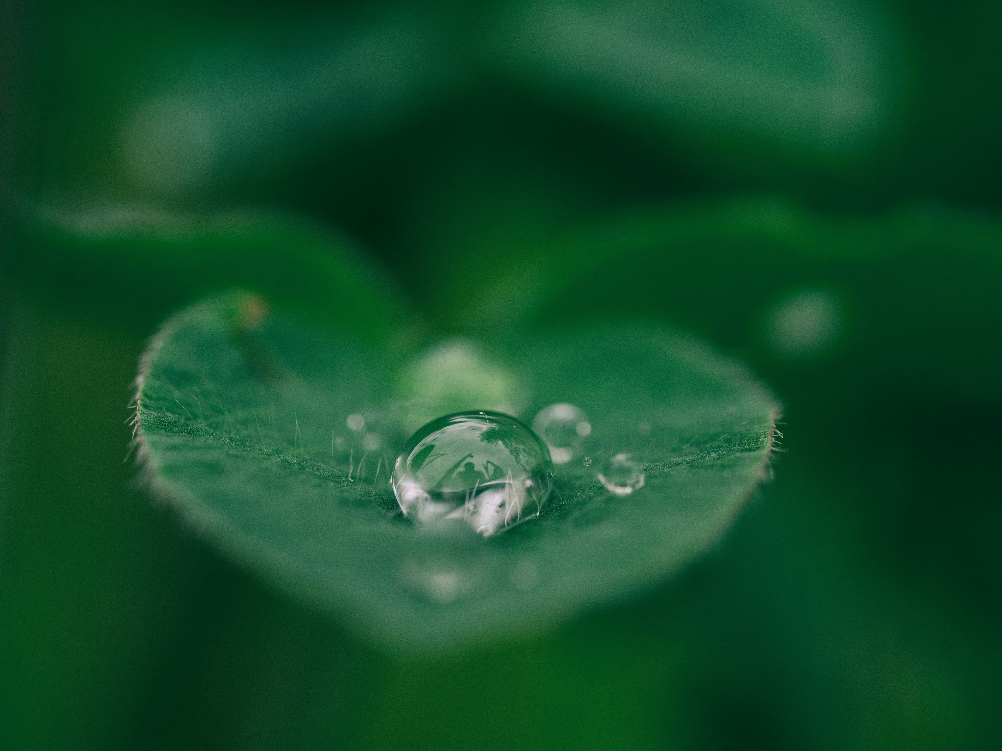 Top 10 Sustainable Businesses: Inspiring Practices for 2026