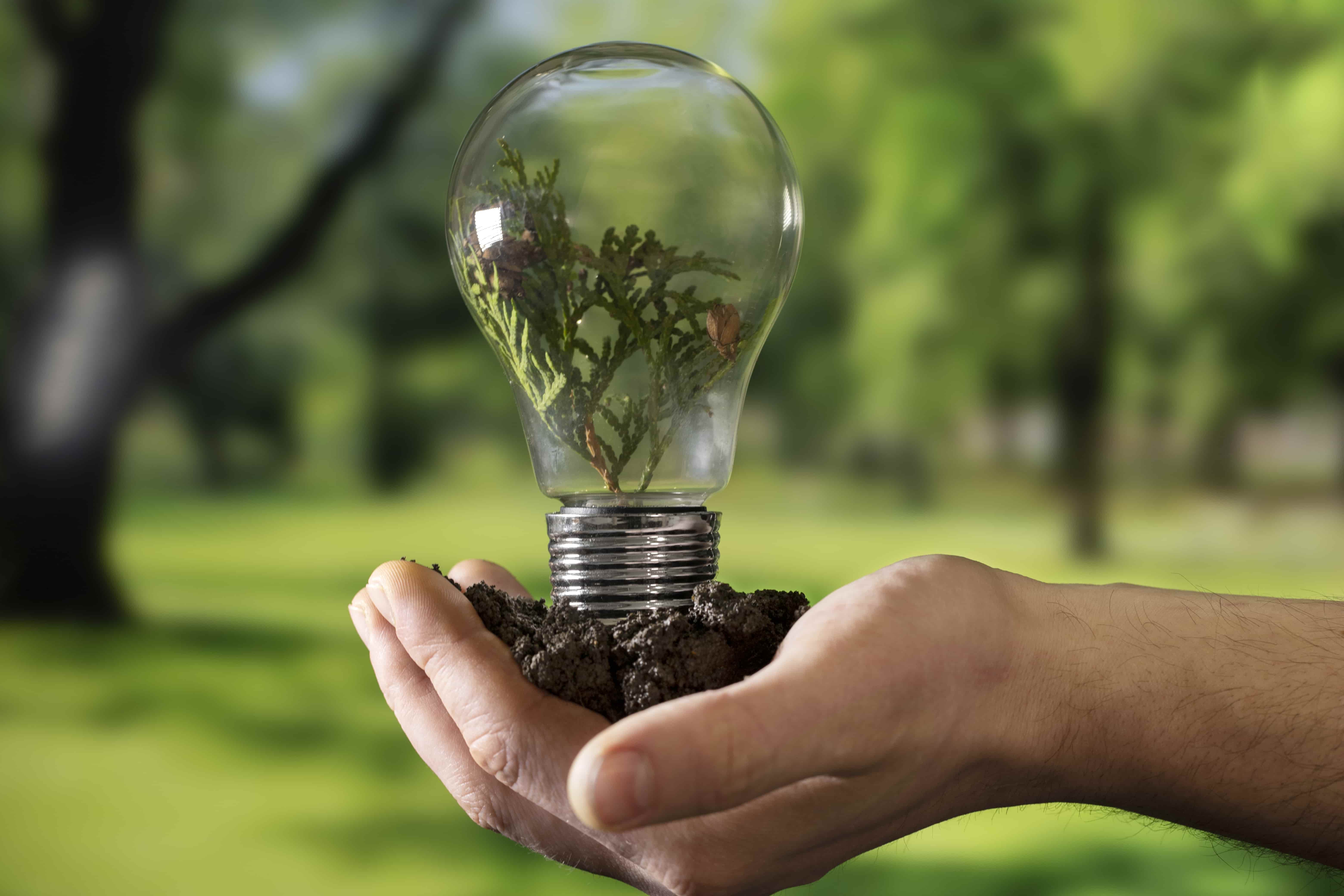 Pacific Basin Closes $250M Sustainability-Linked Loan for Green Goals
