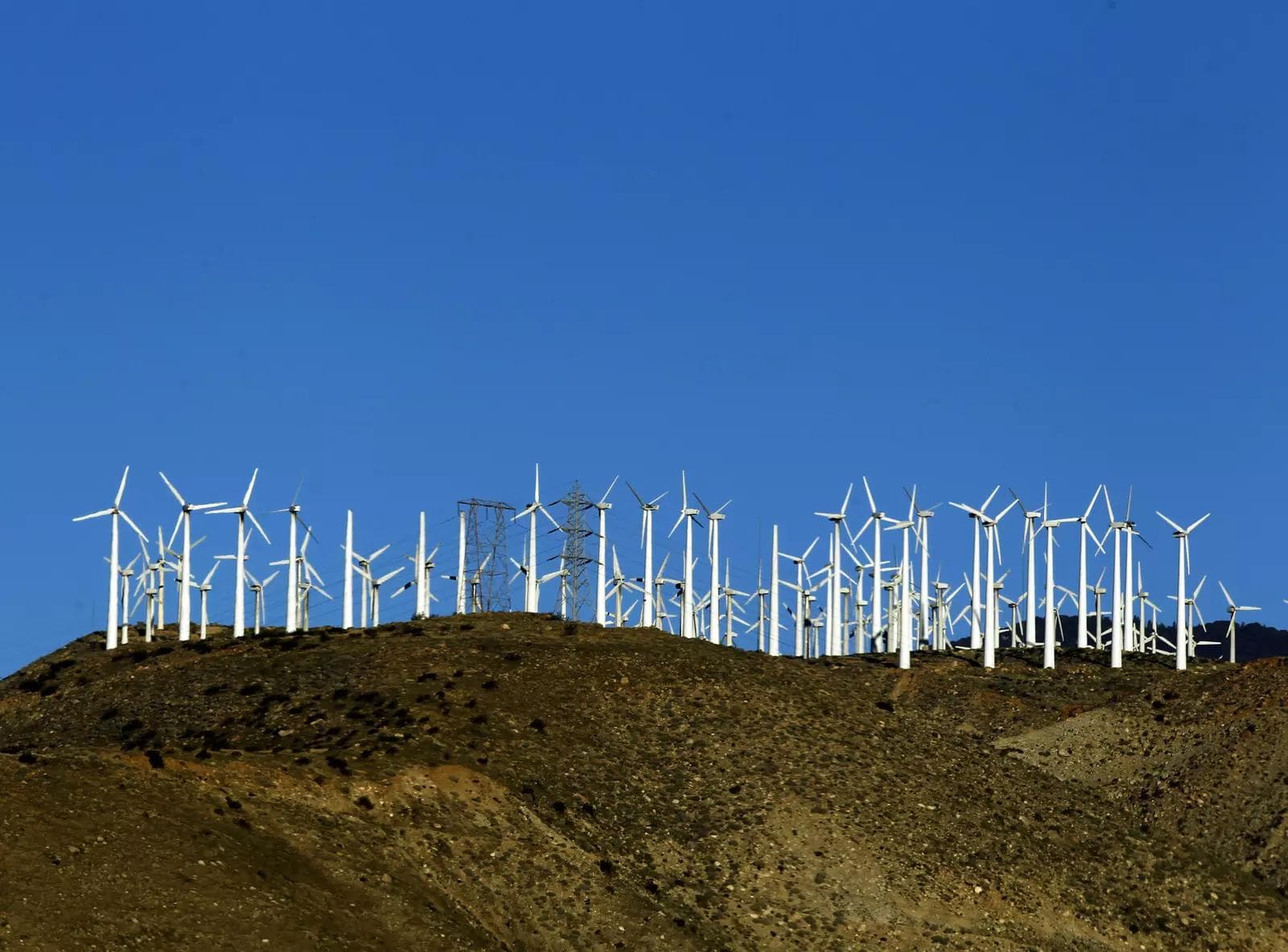 Unlocking low carbon economy using sustainable digital finance