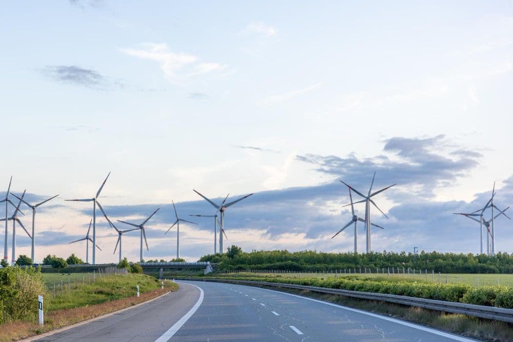 Deloitte Survey Shows Executives Continue Investing in Sustainability