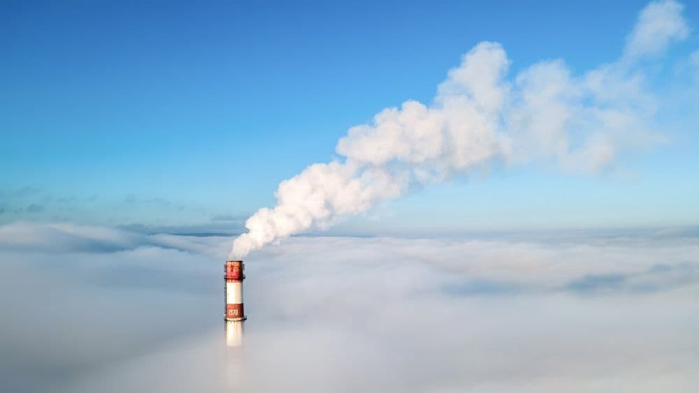 Metsä Group Explores Large-Scale Carbon Capture with Andritz