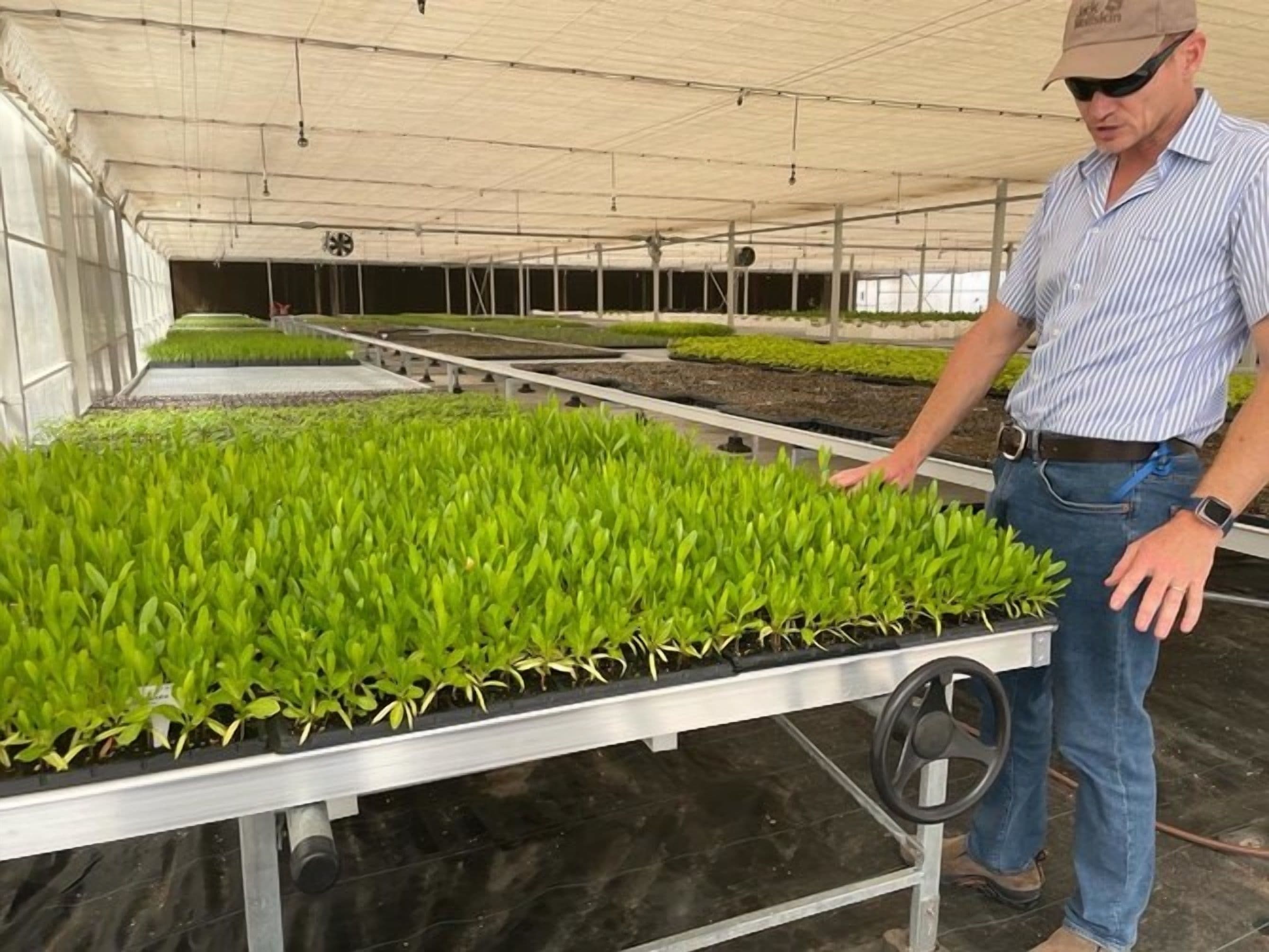 Red Sea Global's Historic Horticultural Endeavour