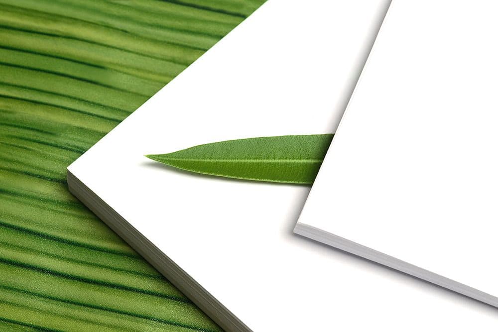 Stellar Ace's 'Green Package': ESG Advertiser's Choice