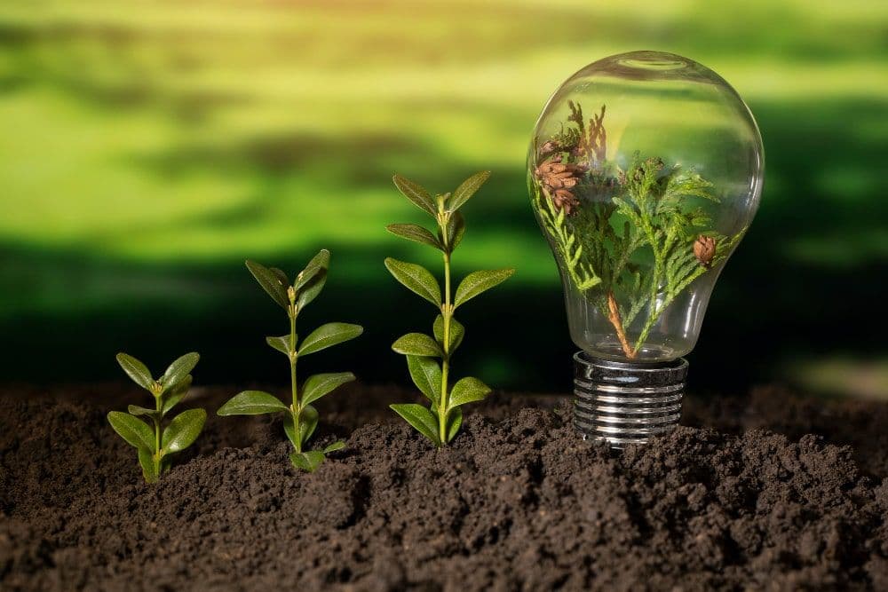 SEC Approves Cebu Landmasters’ ₱5-B Sustainability-Linked Bond