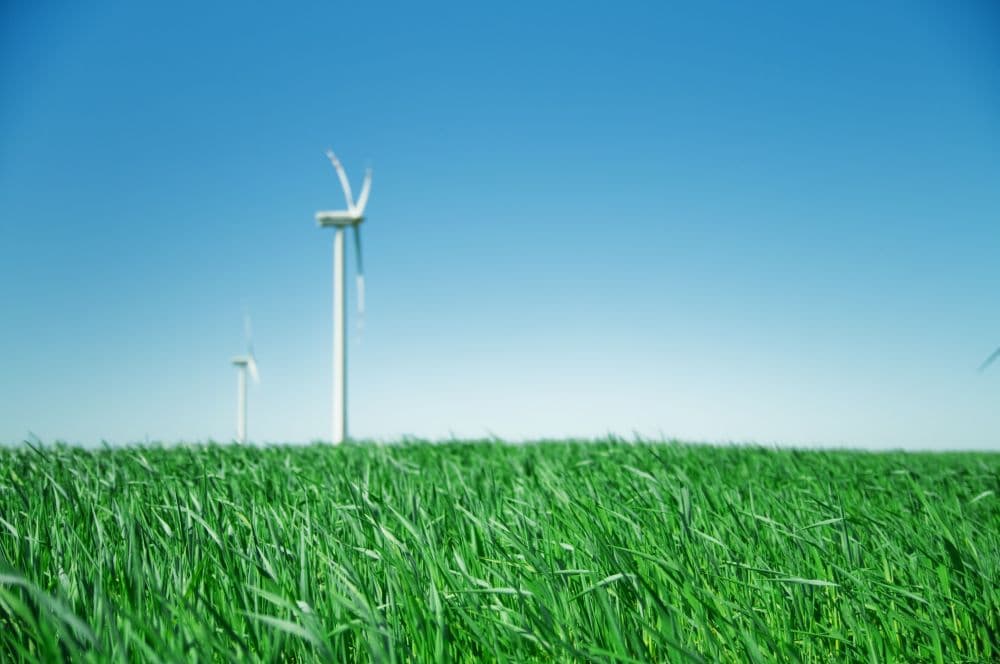 UK's 7-Year Goal: 24 Wind Farms Needed
