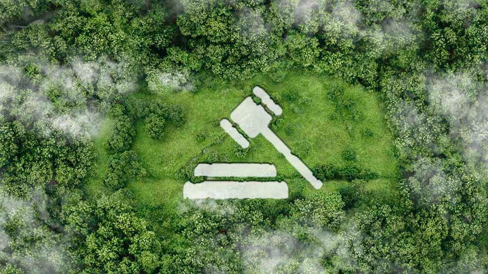 UK Govt Says UK Taxonomy Is Ineffective for Green Transition