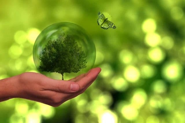 Sustainability Challenges for the Planet and Employers