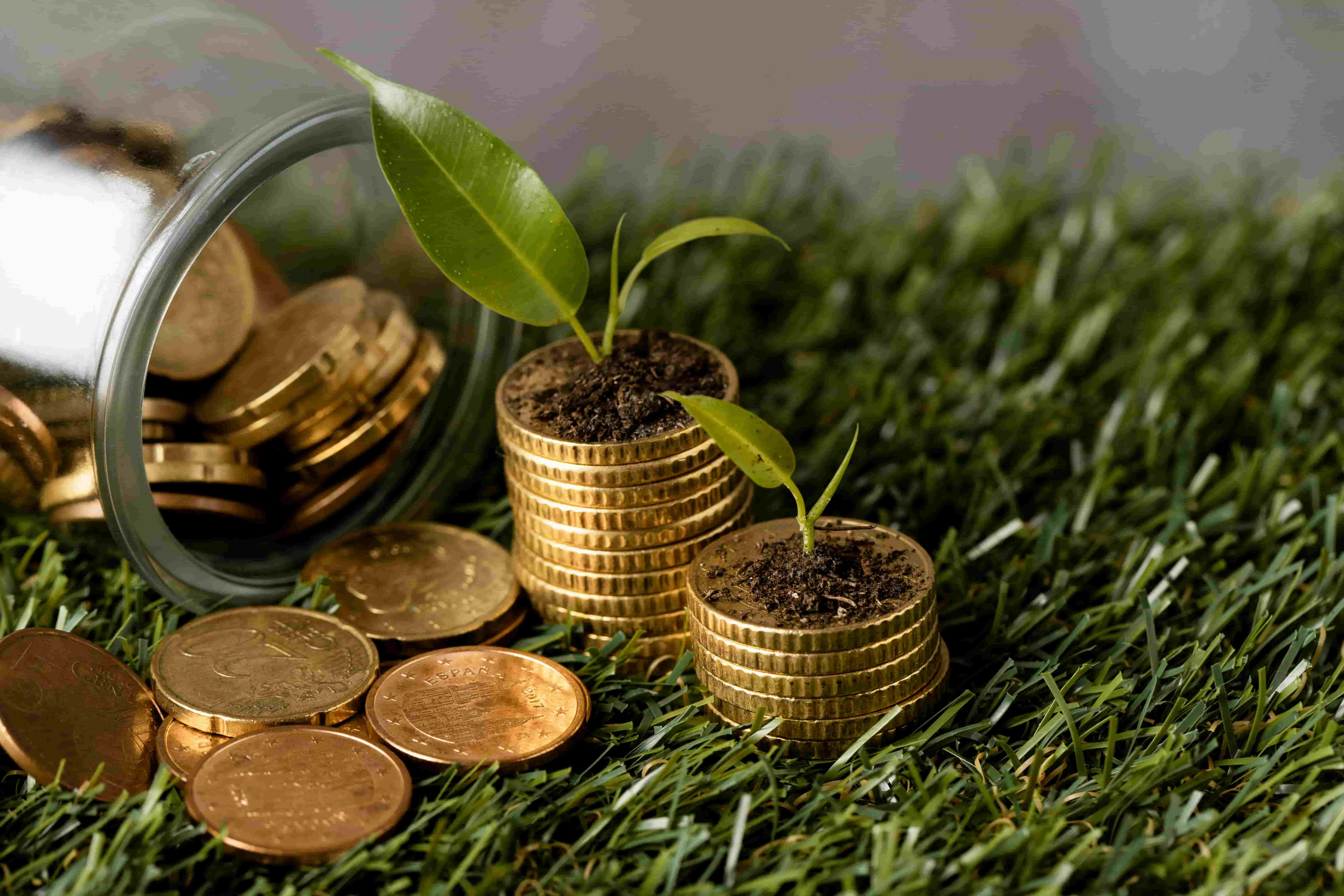 Voluntary Carbon Credit Demand Set to Rise, Morgan Stanley Survey Shows