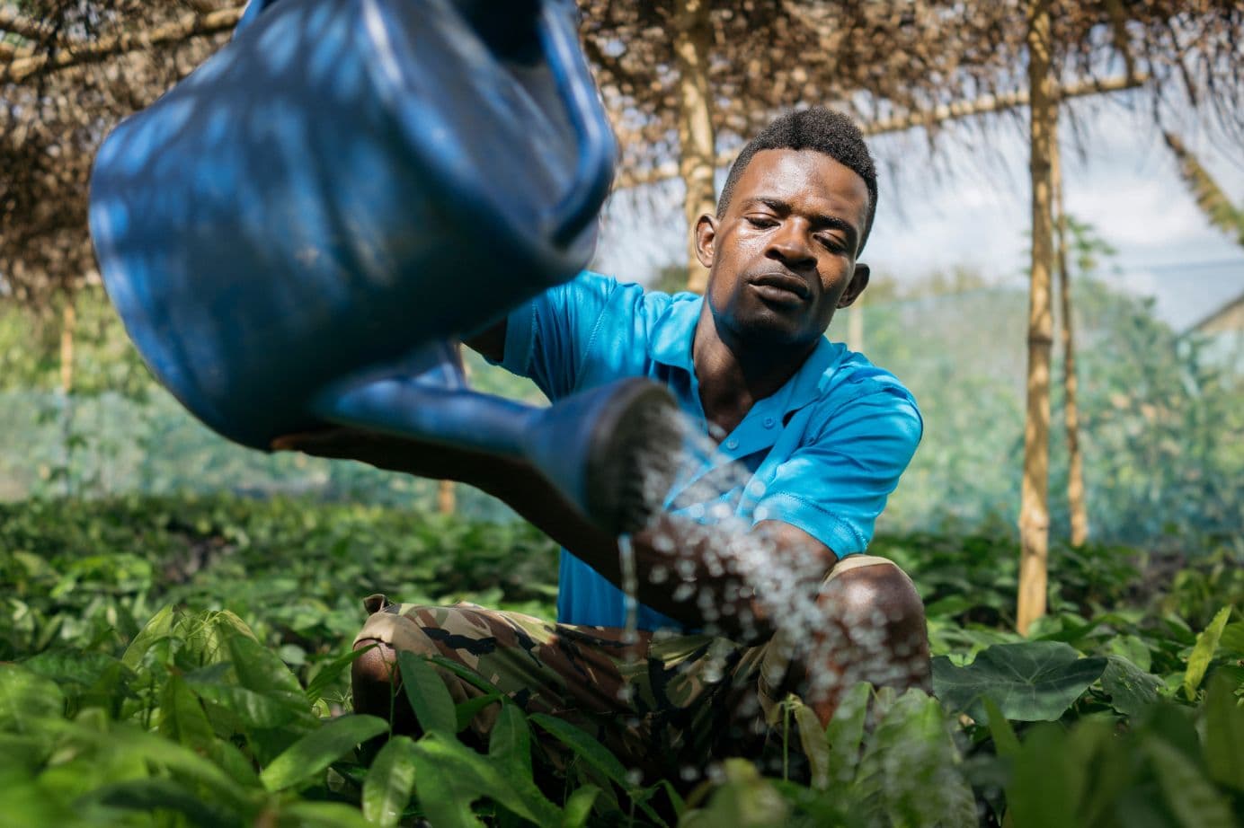 Hershey Releases 2023 ESG Report