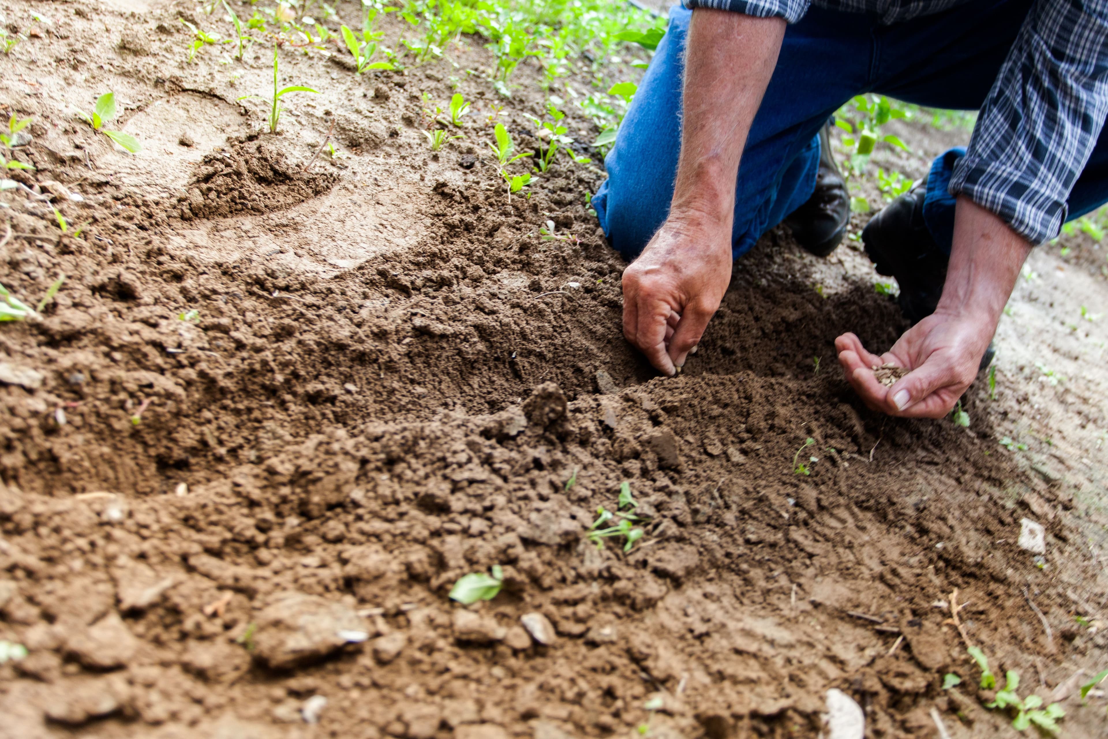 New SEC Rules Likely to Affect Small Farms in US