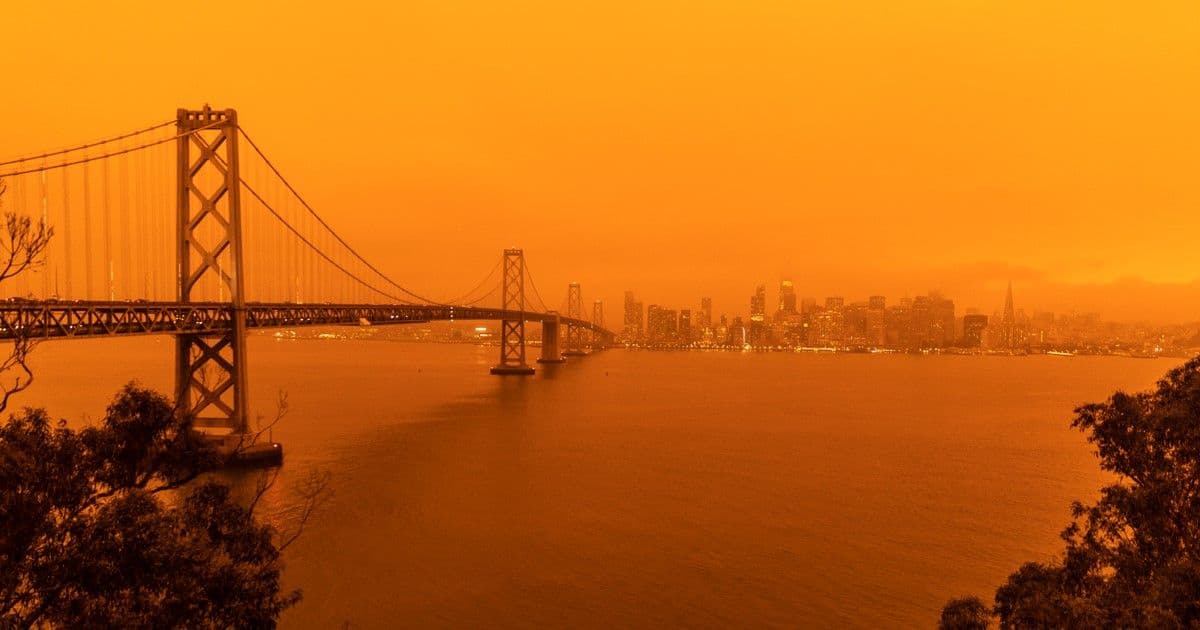 ESG Reporting: A Strategic Tool, not a Burden