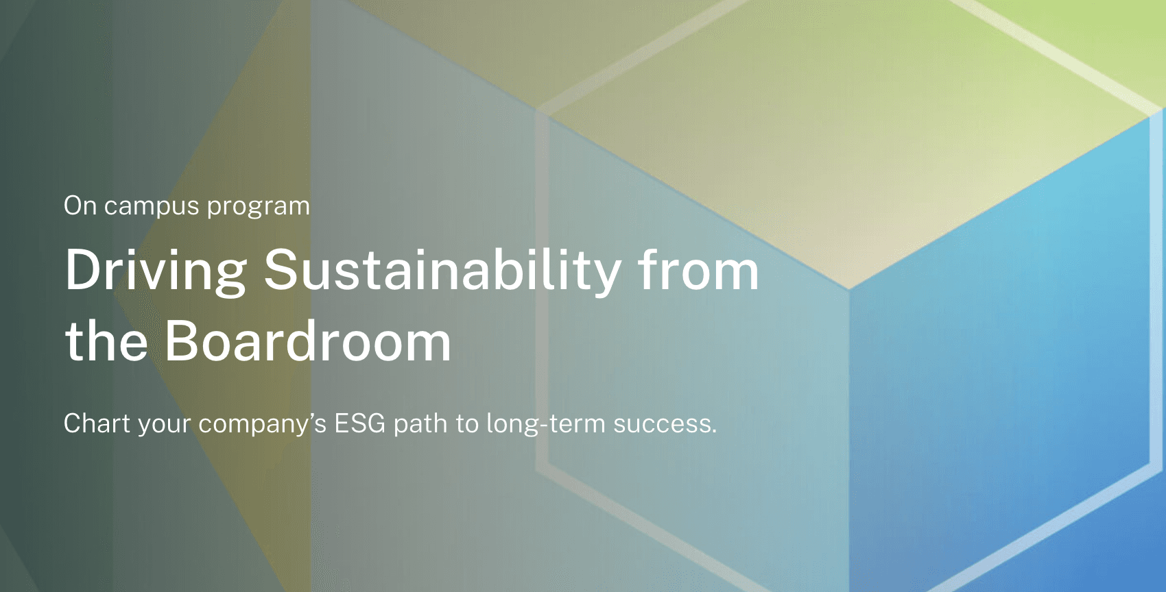Sustainability certificate - Driving Sustainability from the Boardroom
