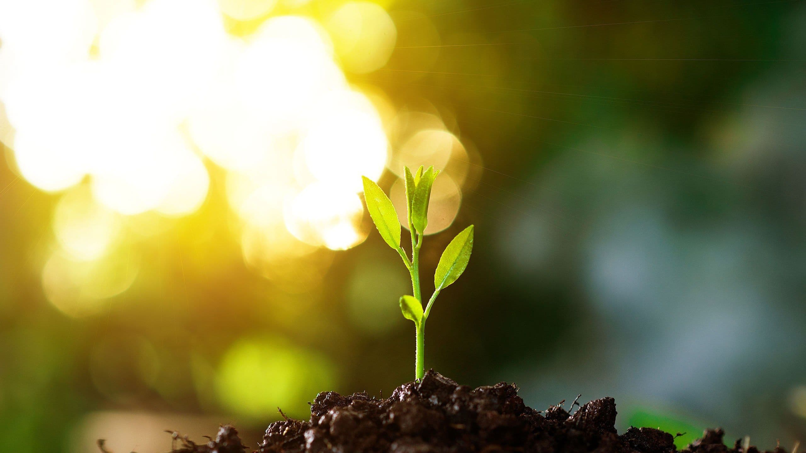 AGCS Sets Up In-House ESG Team