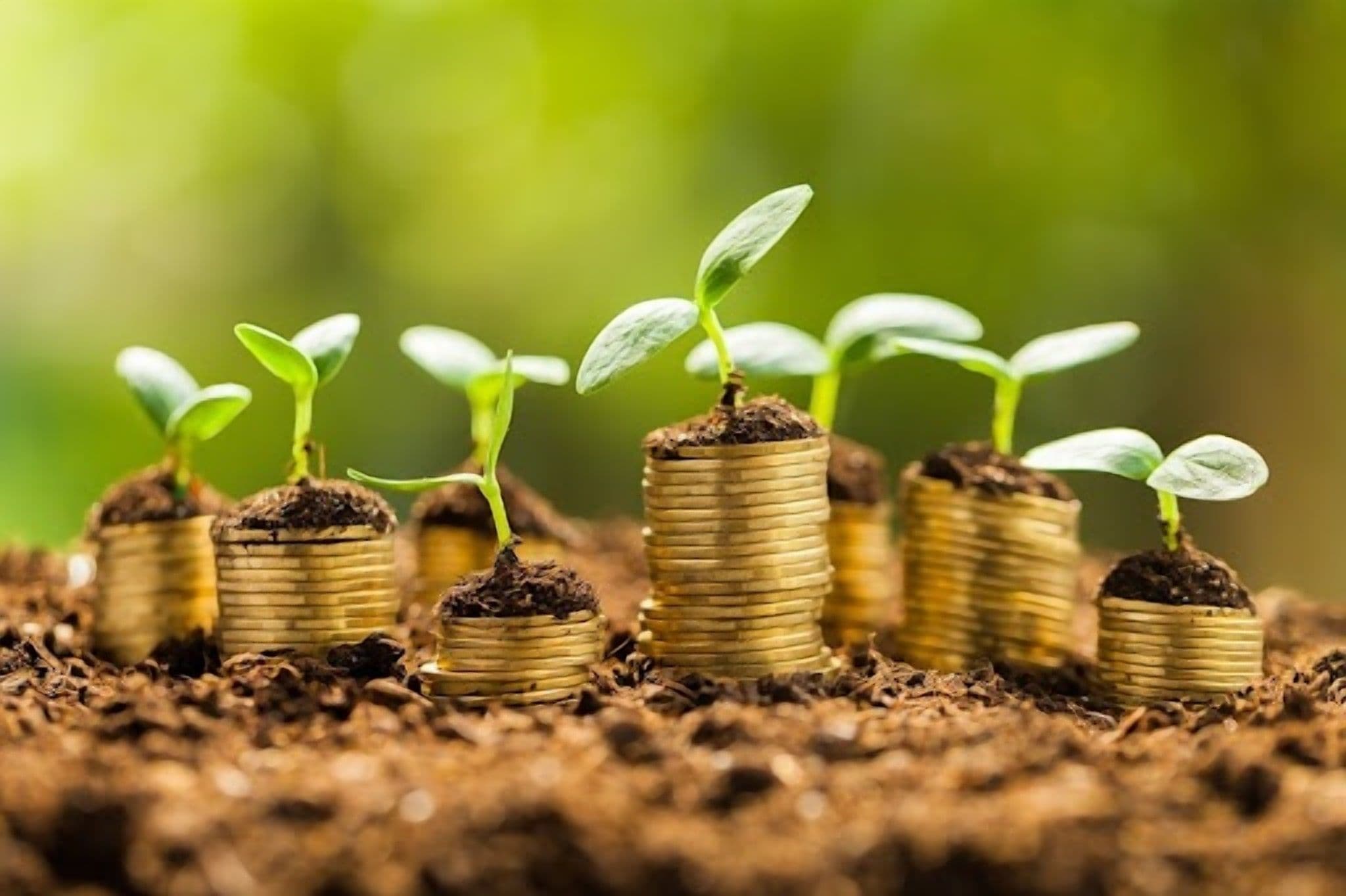 IFC Invests €100m in Sustainable Projects in Central, Eastern Europe