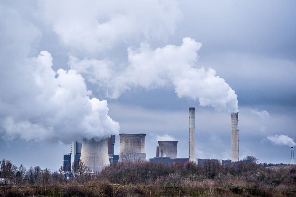 Survey: 98% of Wealth Managers Back 'Green' Nuclear