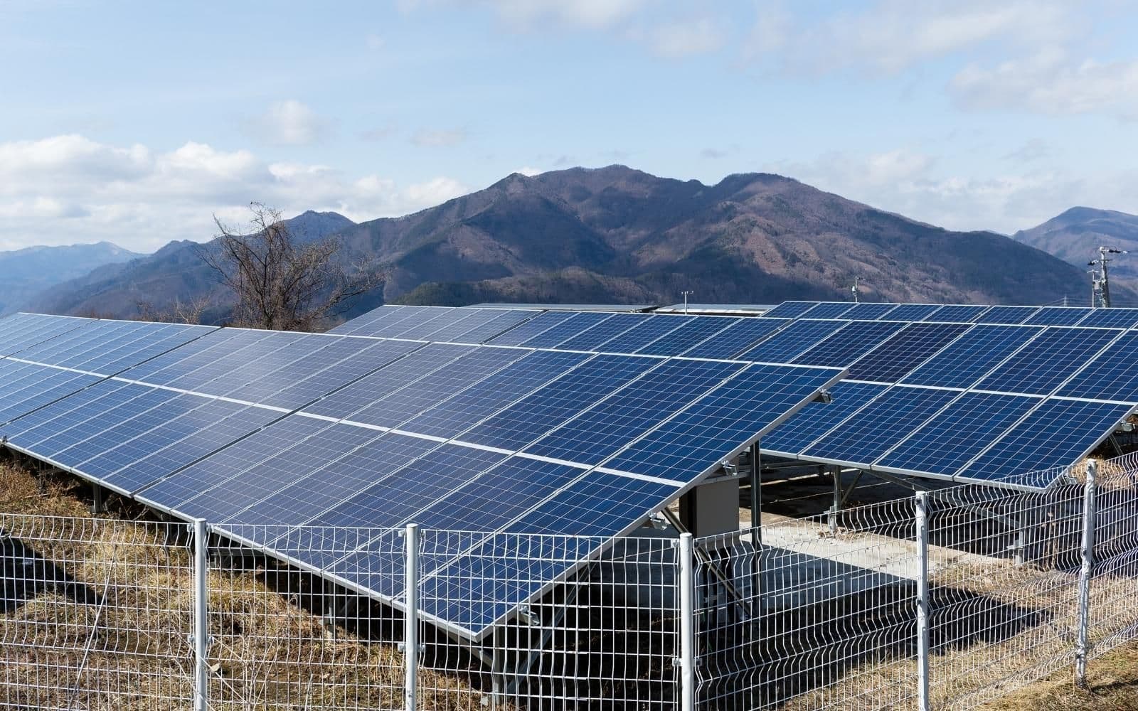 Absa contributes to the first utility-scale renewable energy captive power project in South Africa