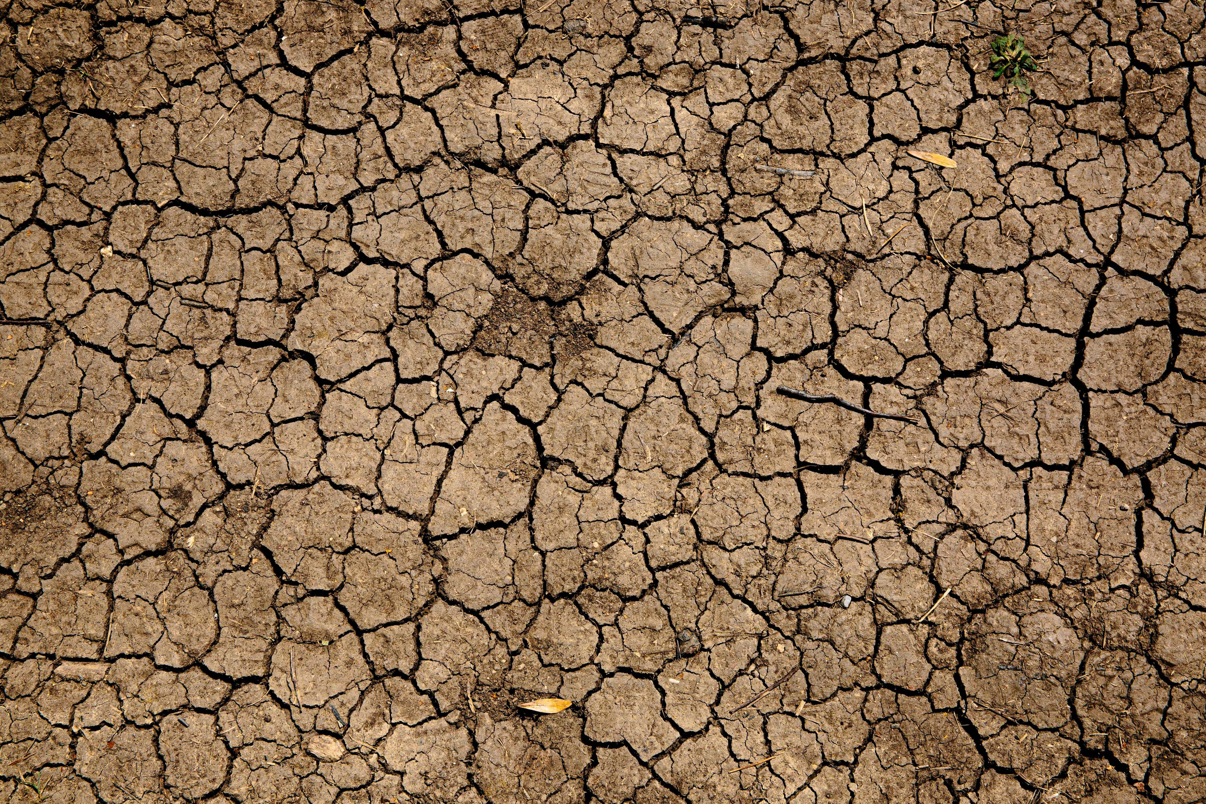 International Drought Resilience Alliance Rolled Out at COP27