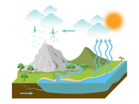 Gestion et Politique de l'Eau