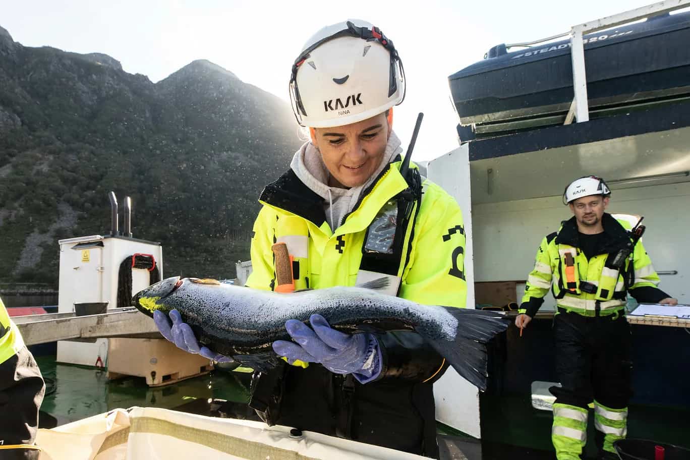 World's Largest Salmon Producer Inks €2.6bn Green Loan Deal