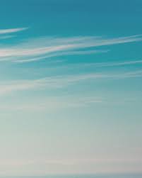 Goldman Sachs Releases Decarbonization Goals in TCFD Report for 2021