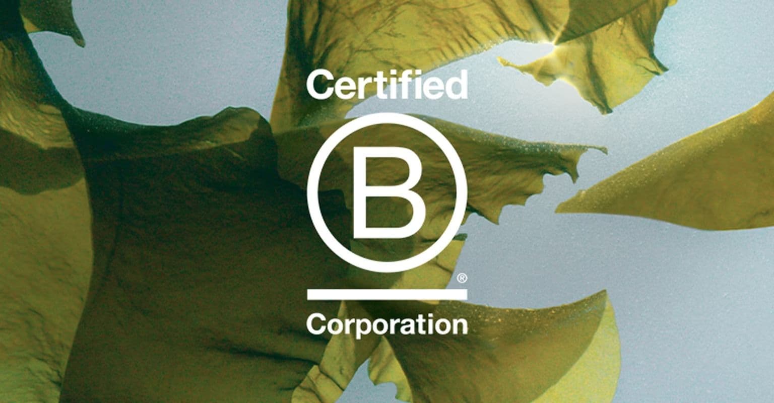 Real Estate Platform Precede Joins B Corp Community