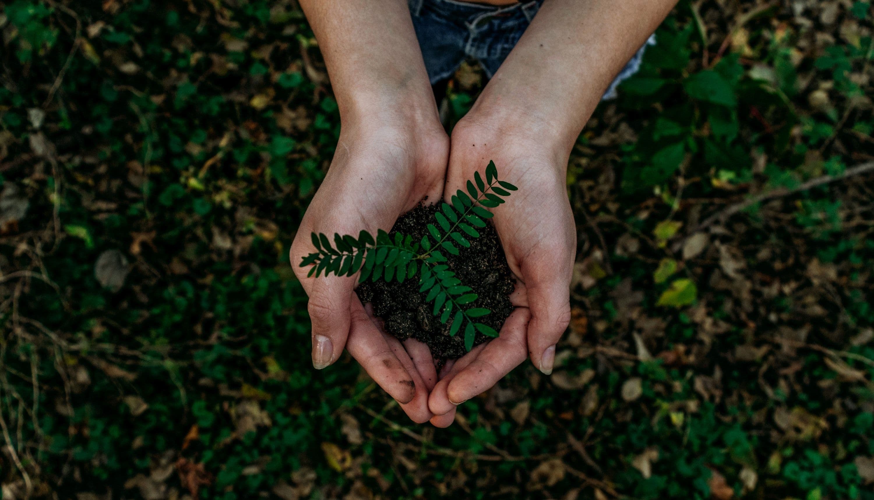 New IDC Survey Shows that Sustainability Software is Needed to Monitor "Social Sustainability" as Well as Environmental Sustainability