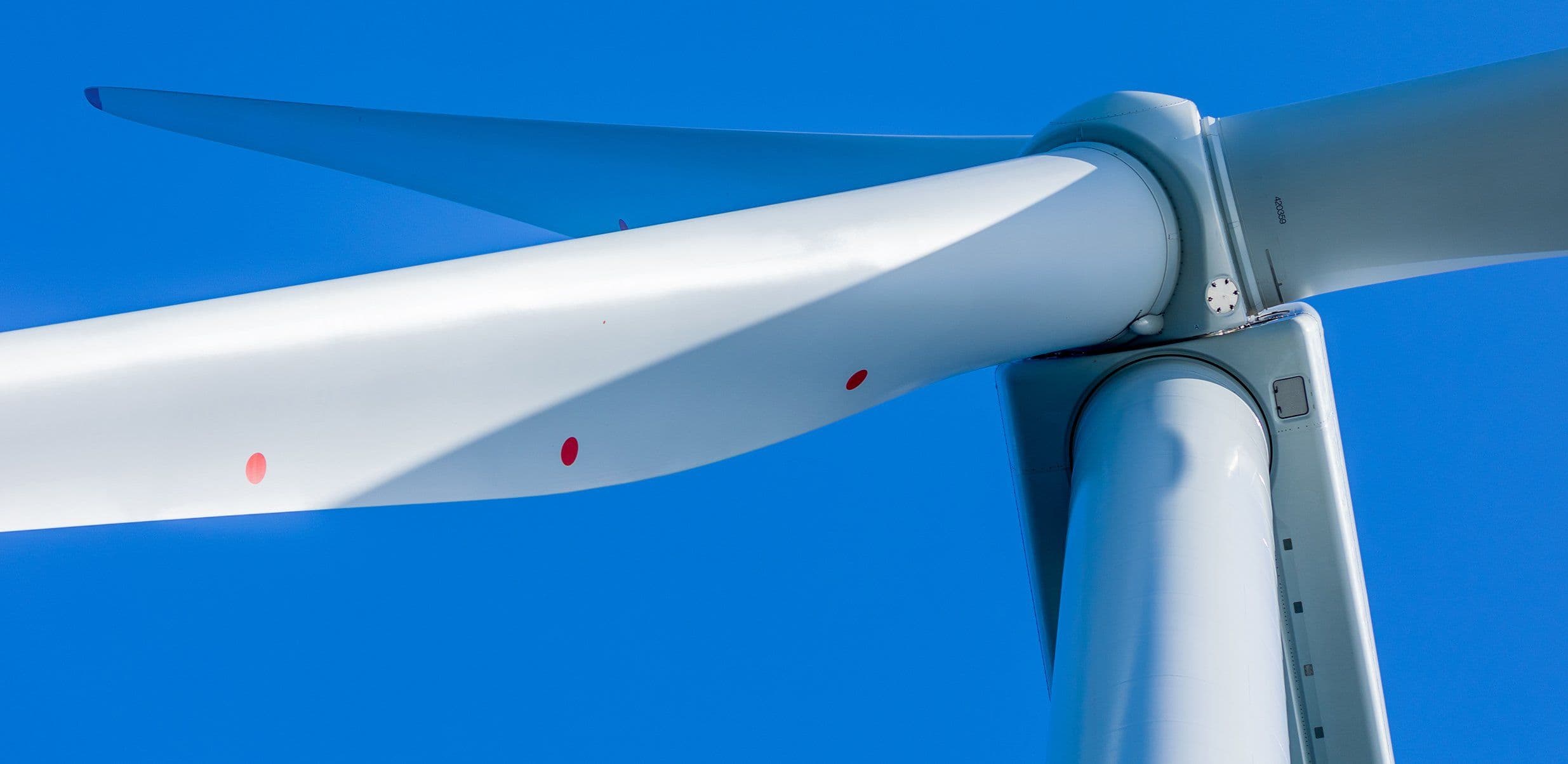 Scotland Gives Nod to Largest Offshore Wind Farm, Seeks Seabird Protection Plan