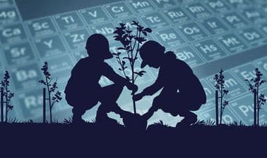Minerals and Mining in a Sustainable World